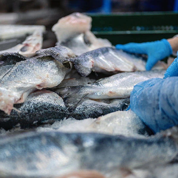 Mariscos procesados