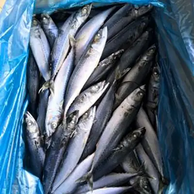¿Qué hace que la caballa del Pacífico sea una opción valiosa para los compradores de productos del mar?