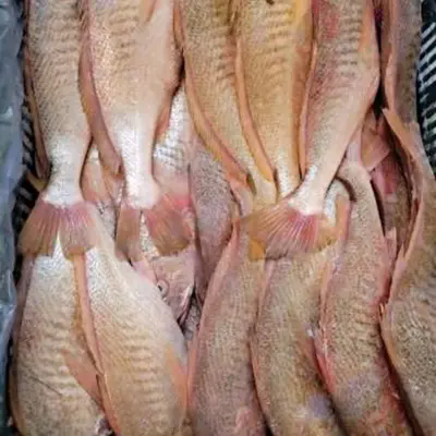 ¿Qué variables ocultas alteran el valor obtenido de la corvina amarilla entera congelada premium?