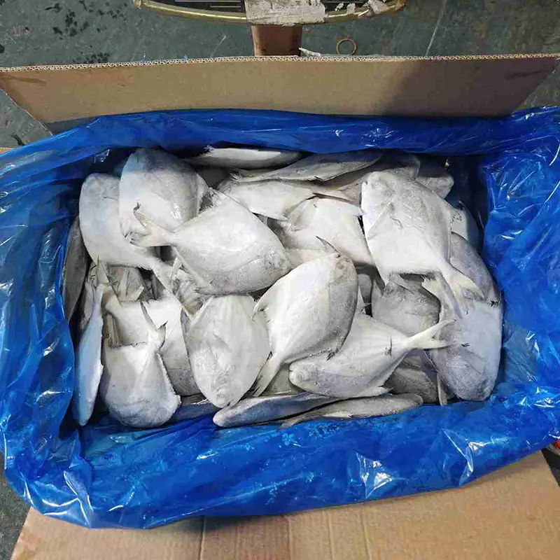 Cartón premium palometa blanca entera redonda