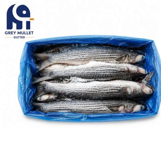 Procesamiento refinado Salmonete Congelado Eviscerado